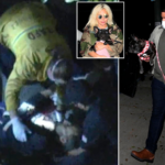 Lady Gaga's Dog Walker Shot in Hollywood