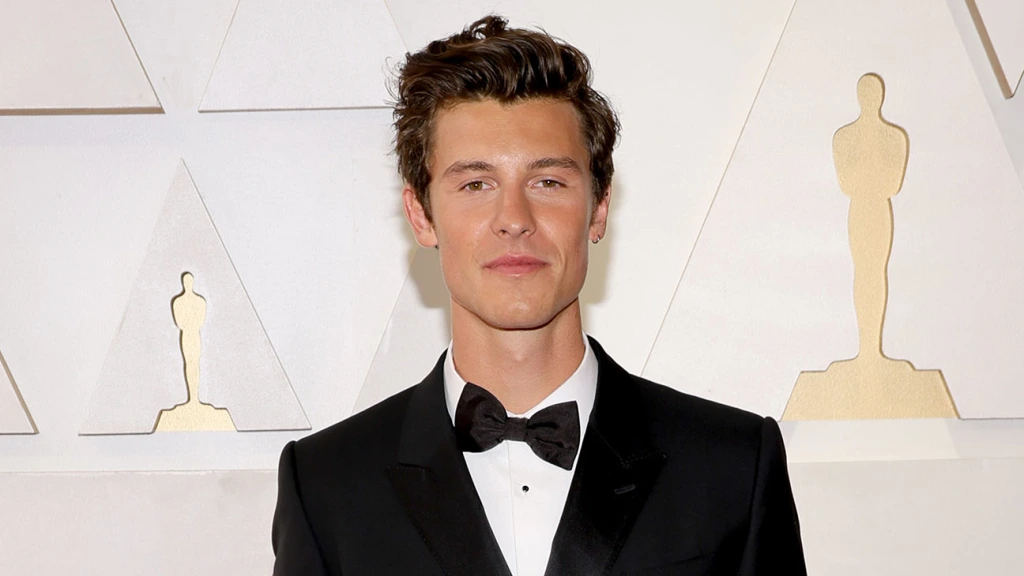 Shawn Mendes is 'Overwhelmed and Overstimulated'
